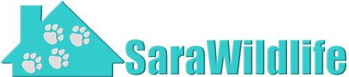 sarawildlife.com